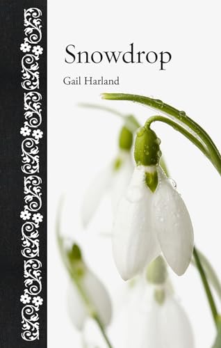 Snowdrop view 2