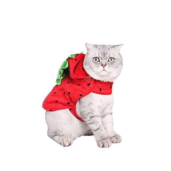 Popetpop cat clothes - strawberry pet halloween costume pet apparel puppy kitten strawberry hooded clothes christmas new year birthday party daily wear dress up