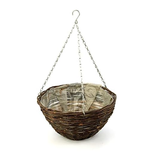 Apollo 16-inch Dark Willow Hanging Basket
