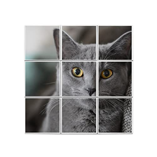 Carreaux Céramique Chat Gris pour décorer votre salon