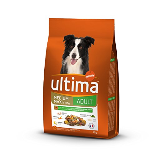 Ultima Croquettes pour Chien Medium-Maxi Adulte Poulet, Riz, Légumes et Fruits 2 kg - Pack de 5