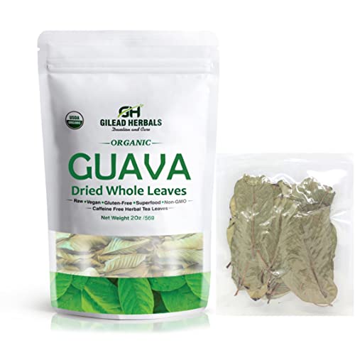 Gilead Herbals - Organic Guava Tea Leaves - 200 Dried Whole Leaves Appx. - 2 Oz - Hojas de Guayaba - Sleep Aid - Blood Sugar Support - Hair Re-Growth, Skin & Nails - Non-GMO (2 Oz ~ 200 Whole Leaves (Pouch))