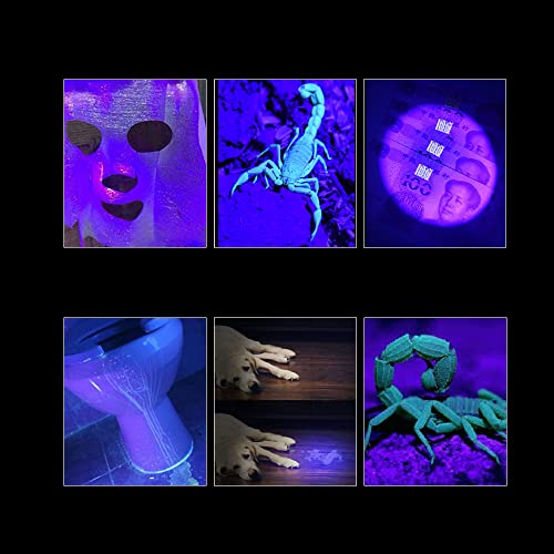 Karrong LED Taschenlampe USB Aufladbar Magnet Schwarzlicht, 395nm UV Lampe Ultraviolette Licht 7 Modi Rotlicht mit Akku für Outdoor Camping Wandern 2 Stück