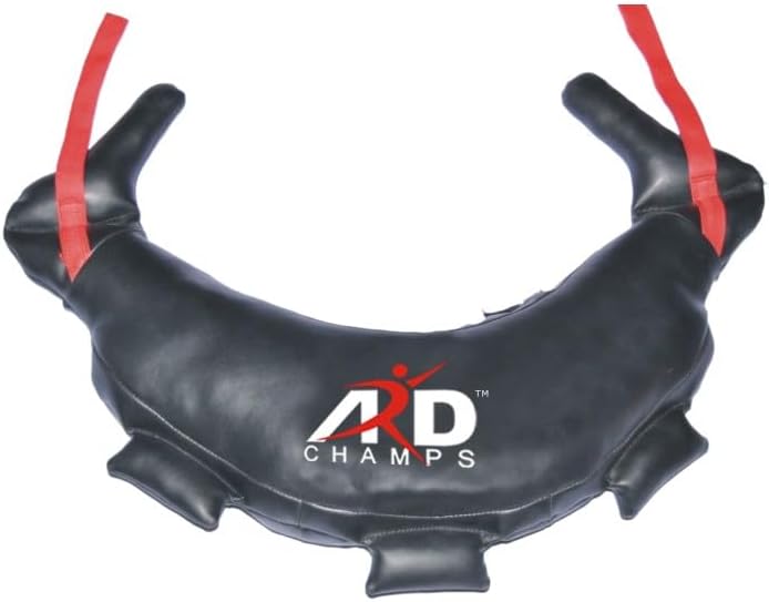 2Fit Bulgarian Canvas Bag, Fitness Canvas MMA Gym Cross Workout Training Sandbag (39 Pounds / 18 KG) (15-Kg)