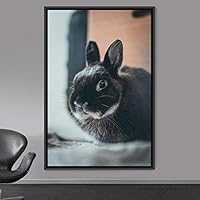 Framed Canvas Wall Art Bunny Animals Bedroom Expressive Multicolor Photography Rabbit Rustic - 16x24 inches
