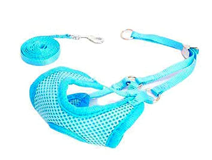 See full amazon price history chart for RvPaws Puppy Harness and Leash Set - Adjustable Soft Mesh Comfort Fit Harness No Pull No Choke - Blue RvPaws Puppy Harness and Leash Set - Adjustable Soft Mesh Comfort Fit Harness No Pull No Choke - Blue (B0BM7R19Z5) Amazon Price History, Amazon Price Tracker