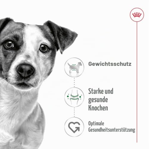 Royal Canin 35206 Mini Adult - Hundefutter, 1er Pack (1 x 8 kg)