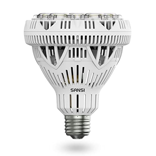 (Updated) Br30 30W Led Light Bulb, 250-300W Equivalent, 5000K Daylight, 4000Lm Super Bright Bulb, Non-Dimmable, Cri80, E26 Base, Floodlight For Warehouse Supermarket Logistic Center Church #TOP10