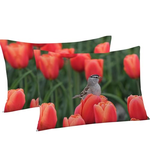 Housse de couette 200x200 fleurs avec 2 taies d'oreiller microfibre - 8