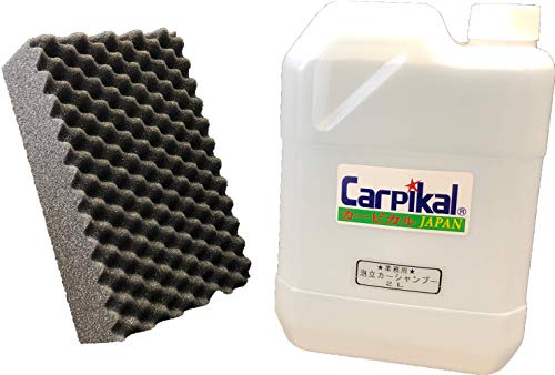 J[sJ AJ[Vv[ Zk300{ ^Cv [oEȂ m[RpEh] (2L)