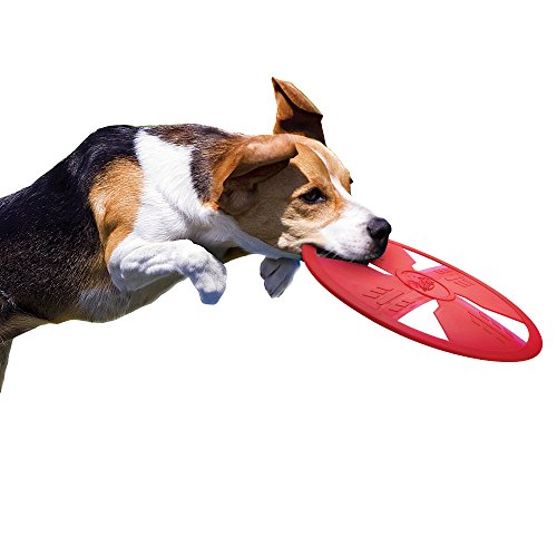 Nerf Dog Rubber Float Flyer Dog Toy, Flying Disc, Lightweight, Durable And Water Resistant, Great For Beach And Pool, For Small/Medium/Large Breeds, Single Unit, Red #TOP4