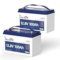 Timeusb 12V 100Ah Pro LiFePO4 Battery 2 Packs, Grade A Battery Cells, Group 31 Deep Cycle Lithium Battery, 100A BMS,10-Year Lifetime, Suitable for RV, Solar Home System and Off-grid Application
