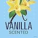 Secret Invisible Solid Antiperspirant and Deodorant, Vanilla Scent, 2.6 oz (Pack of 3)