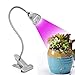 Led Grow Light, CF GROW Desk Clip LED Plant Grow Lamp 5W with 360° Flexible Gooseneck for Indoor Office Home Garden Greenhouse Plants Growing Lighting (5W)
