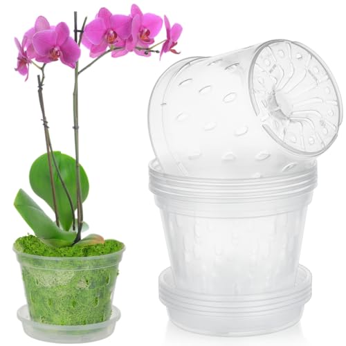yeeplant 5 macetas para orquídeas, macetas de plástico transparente de 5.5 pulgadas con platillos, macetas ranuradas para trasplantar en interiores y exteriores, recipientes transpirables para