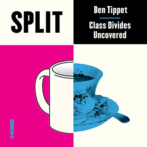 Split: Class Divides Uncovered by Ben Tippet episode artwork
