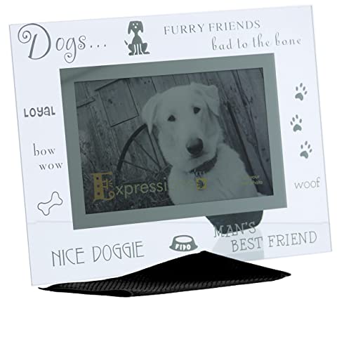 Sixtrees Moments DOG Bevelled Glass and Mirror 6x4 inch Photo Frame.