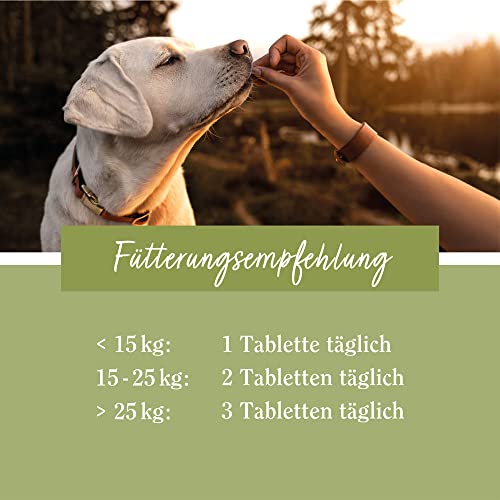 tierlieb Immunkomplex-Hunde-Tabletten | Mit Colostrum, Kurkuma, Cistus & Zink | Ergänzungsfuttermittel | 180 Tabletten
