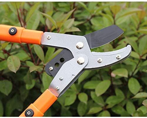 Telescopic Anvil Garden Tree Loppers - Heavy Duty Ratchet Lopper Extendable 66-101 cm for Pruning Tree Hedge Branch Every Family
