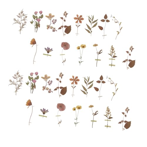 IWOWHERO 80V[ct[XebJ[ ȔS ԕf fR[V