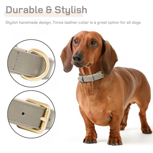 HEELE Hundehalsband Leder Hundehalsband mit gepolstert und echtes Leder, Verstellbar, Halsband für Welpen Kleine Mittel Große Hunde, Neu-Grau, S