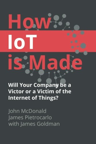 How IoT is Made: Victim or Victor?