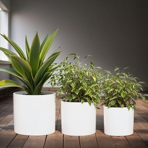 Fox & Fern Matte White Plant Pots with Drainage Plug (Set of 3) — Premium Lightweight Fiberstone 8, 10, and 12 Inch Planters for Indoor and Outdoor Use - Weather Resistant & UV Resistant by Fox & Fern - Image 8