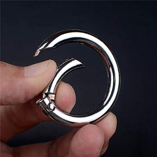 GBSTORE 10 Pcs Outside Diameter 25mm Round Spring Snap Carabiner Clip,O Rings Spring Trigger Hook for Handbag Purse Shoulder Strap,Mountaineering Camping Backpack Buckle,Keychain Keyring (Silver)