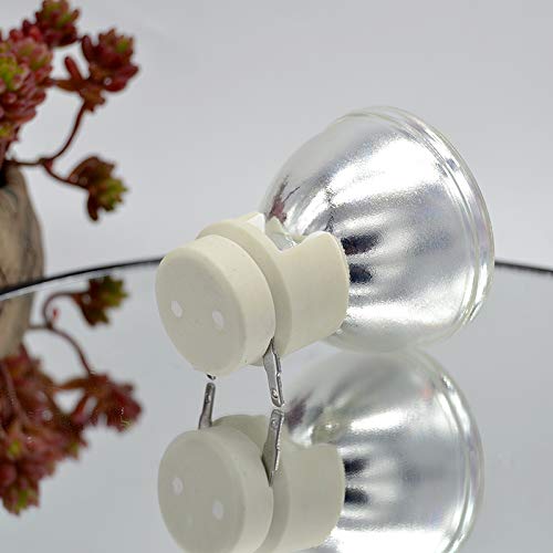 Lampe BL-FP230F SAAKO pour corriger l'image sombre de votre TW610STi