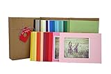 30 card Sampler by Plymouth Cards 4x6 Photo Insert Note Cards - Pkg 30