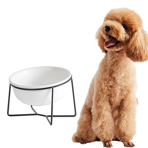 Comedero Perro Elevado con Soporte - Comedero Gato Ceramica para Agua y Comida - Comederos y Bebederos para Perros Mediano | Gatos Grande - 850ml