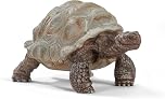 SCHLEICH Wild Life - Giant Tortoise Figurine - Realistic Galapagos Turtle Figure with Detailed Skin Texture - Durable Wildlife Rescue Reptile Toy for Educational Play - Boys and Girls 3+ | 14824