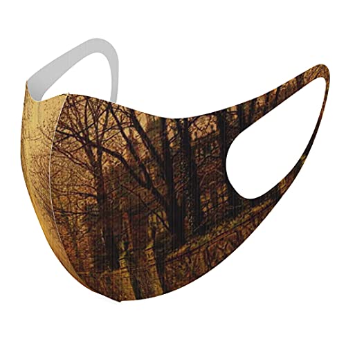 [igsticker] fUC }XN QZbg |GXe 􂦂 z}XN jp 003224 N[ ʐ^Ei iF i G CXg