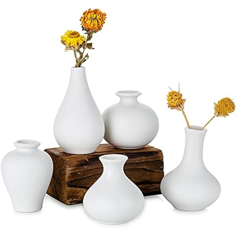 Vases en Céramique Sziqiqi Lot de 5 Cover