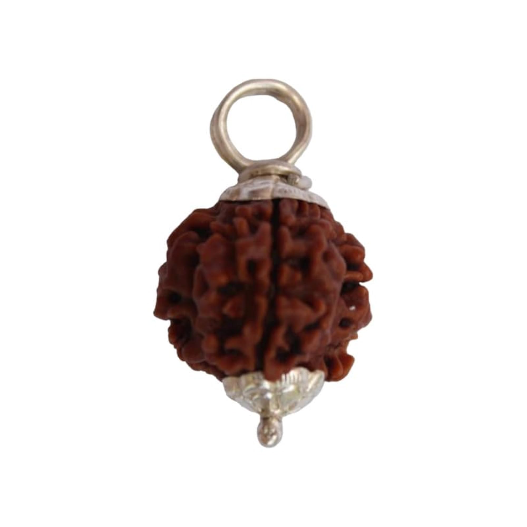3 Mukhi Rudraksha Nepali Original Certified Holy Beads
