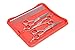 AEXYA Premium Lady Dog Grooming Scissors Kit 3SR Pet Groom Hair Tool Set Stainless Steel Straight, thinning and Curved Sharp Shears for Small or Large Dog, cat or Other pet (Red, 3 Scissors)