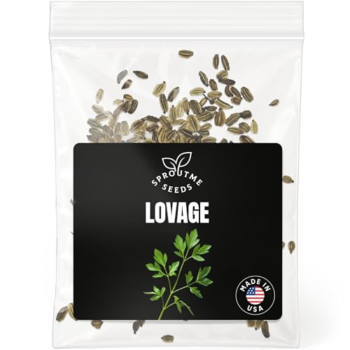 Lovage Seeds for Planting 200+ Non-GMO Heirloom Seeds Culinary Herb with Celery Flavor Levisticum officinale