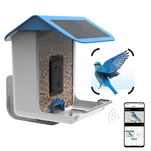 Best Camera For Bird Feeder Photography