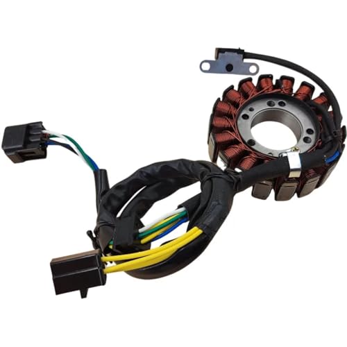 Plus de Panne d'Allumage : Stator Moto Magnétique KLX400 Bobine Remplacement Rapide 2004