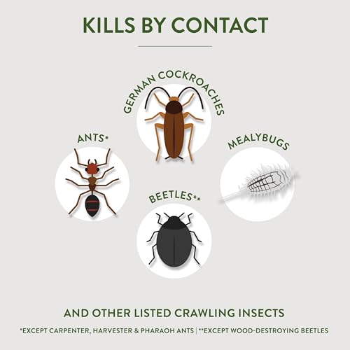 Garden Safe Brand Crawling Insect Killer Containing Diatomaceous Earth, 4 Pounds, Kills Cockroaches, Ants and Other Listed Crawling Insects by Contact, For Use Indoors & Outdoors
