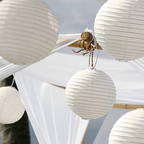 Luna Bazaar Accordion Paper Lantern (9-Inch, Fuchsia Pink, Lilies ...