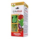 CIFO