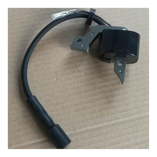 Bobine d'allumage résout panne moteur EH09 EH09-2D RGX1100