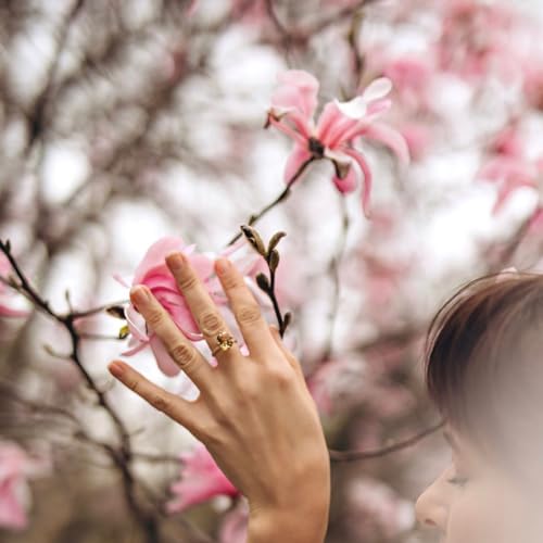 Appearance and value of major color gemstones