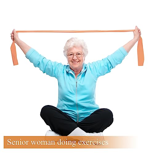 image for Sratte 24 Pcs Resistance Band Bulk Elastic Exercise Workout Stretch Ba