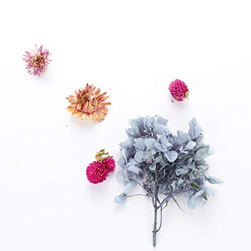 Kit Diy de Flores Secas, buquê de Flores Perpétuas Com Suavidade, Suprimentos Artesanais para Cartõe