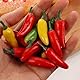 Nlinlin Künstliche Chili-Pflanzen, Kunststoff, künstliches Gemüse, künstliches Gemüse für Heimdekoration, geeignet für Küchendekoration, 10 Stück