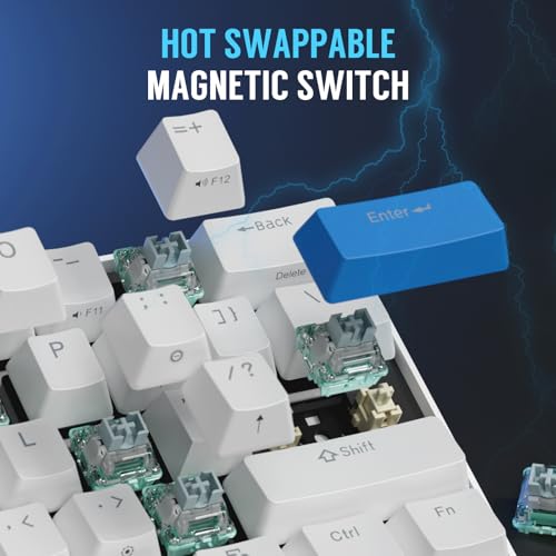 Image of RK ROYAL KLUDGE C61 Wired Mechanical Keyboard with Hot Swappable Magnetic Switch Wired 60% Gaming Keyboard Gasket Mounted RGB Backlit with 61 Keys PBT Keycaps, White Blue