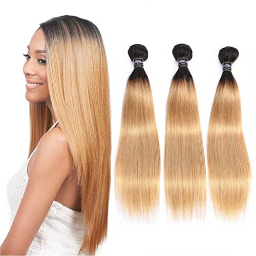 Human Hair Bundles Straight Brazilian Real Human Hair Ombre Hair Straight Weaves Short Hair Color #1B 27 Silky Soft Hair 10 12 14 inches