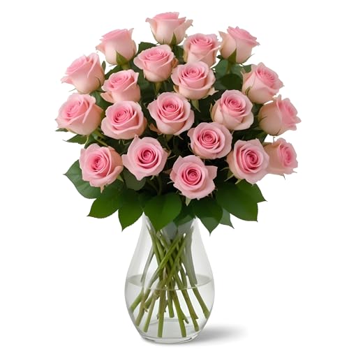 18 Pink Roses in Glass Vase | Arabella Bouquets | Real Fresh Flowers for Delivery, Gift for Birthday, Congratulations, Anniversary, Mother's Day